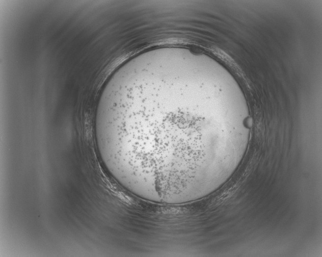 X0000054430945200508192120