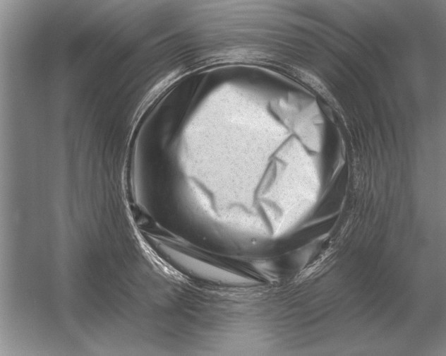 X0000054430946200508192120