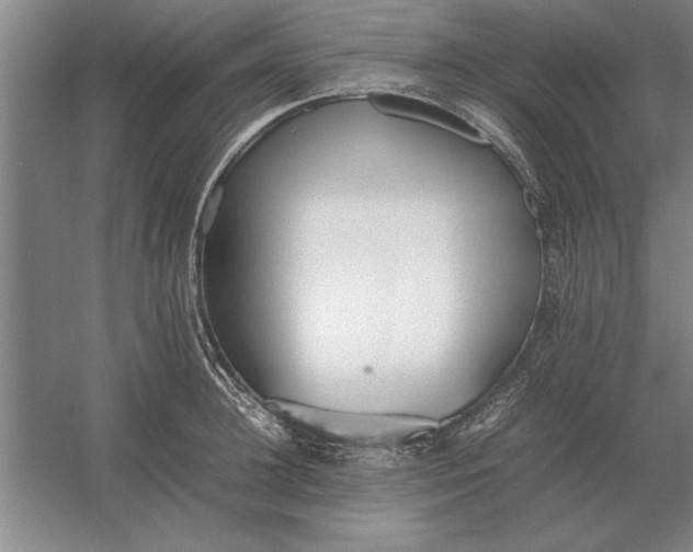 X0000054430948200508192120