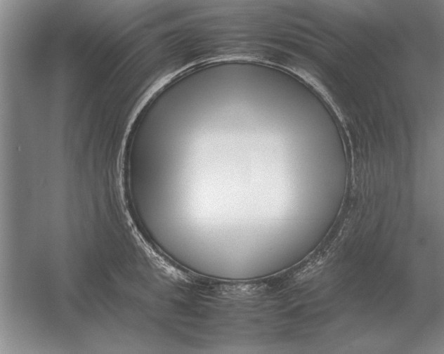 X0000054430949200508192120