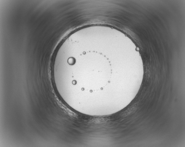 X0000054430950200508192120