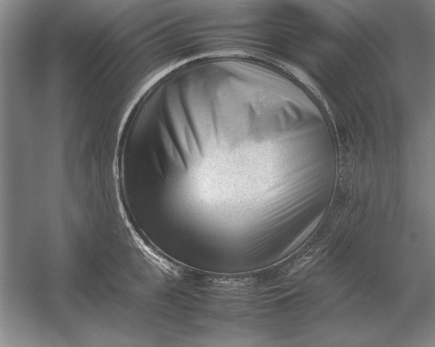 X0000054430951200508192120