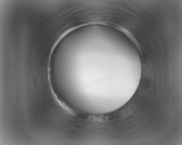 X0000054430955200508192120