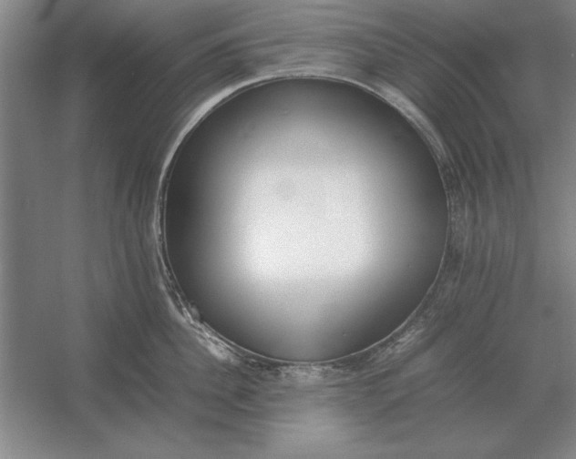 X0000054430956200508192120