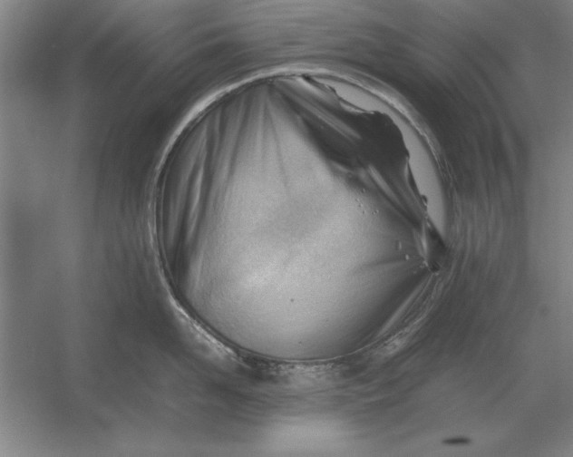 X0000054430958200508192120