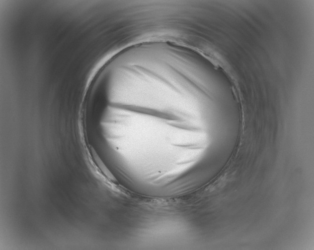 X0000054430960200508192120