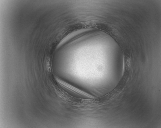 X0000054430963200508192119