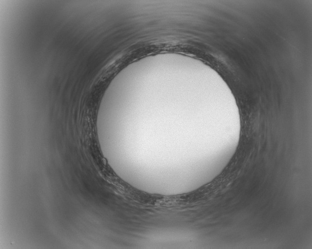 X0000054430967200508192119