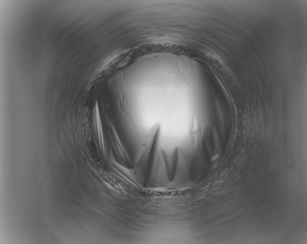 X0000054430968200508192119