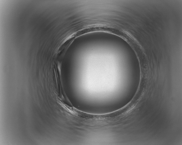 X0000054430969200508192119