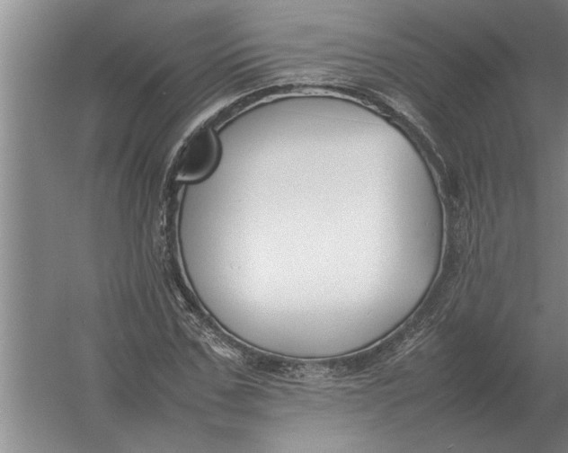 X0000054430971200508192119