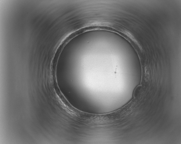 X0000054430972200508192119