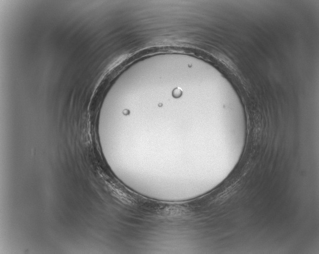 X0000054430974200508192119