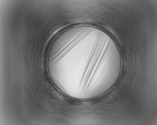 X0000054430975200508192119