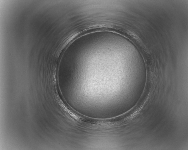 X0000054430977200508192119