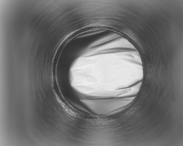 X0000054430980200508192119