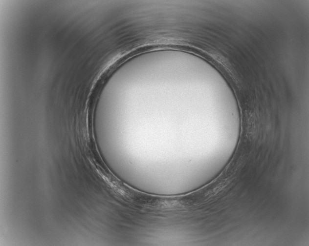 X0000054430982200508192119