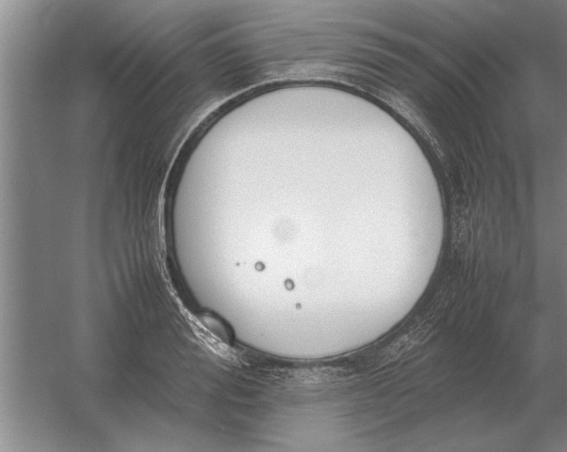 X0000054430988200508192119