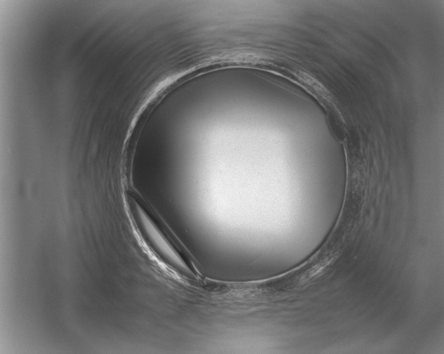 X0000054430989200508192119