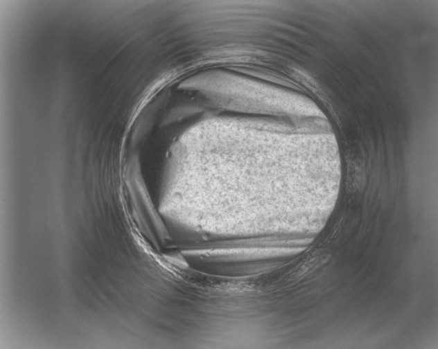 X0000054430994200508192119