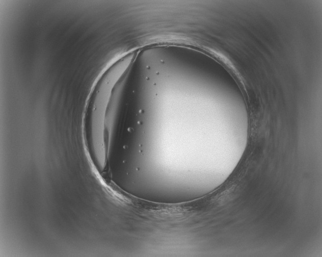 X0000054430999200508192119