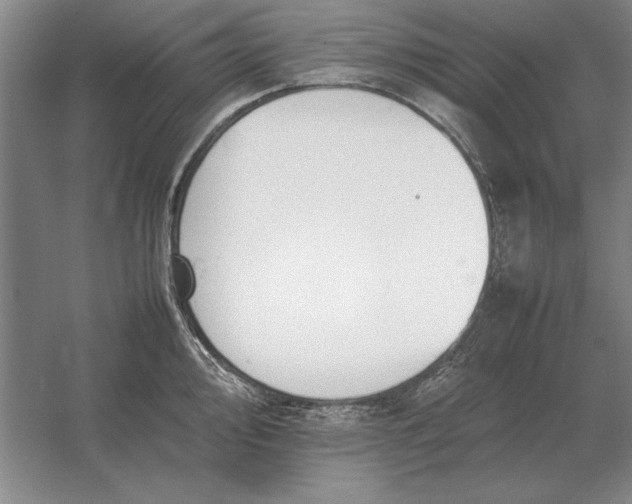 X0000054431000200508192119