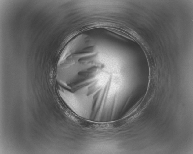 X0000054431001200508192119