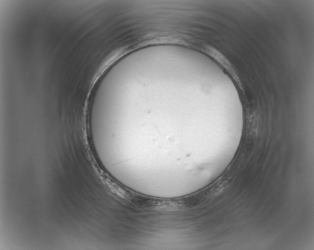 X0000054431002200508192119