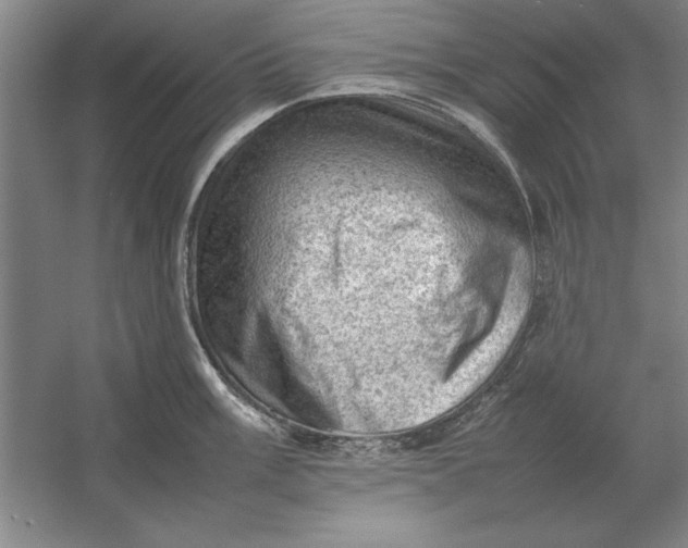 X0000054431003200508192119