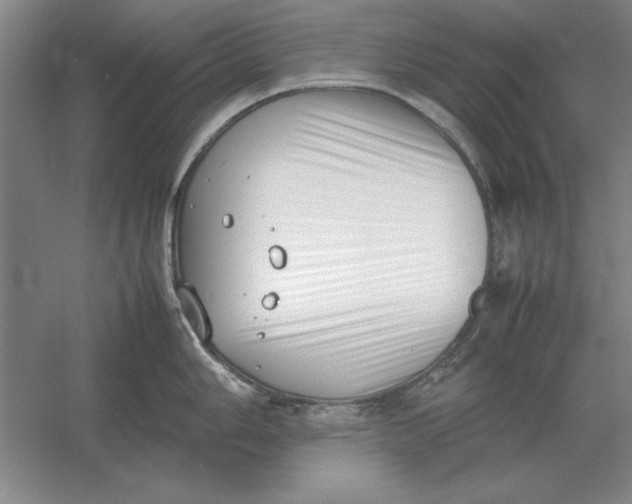 X0000054431006200508192119