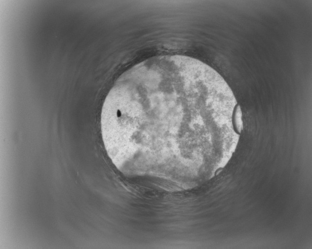 X0000054431009200508192118