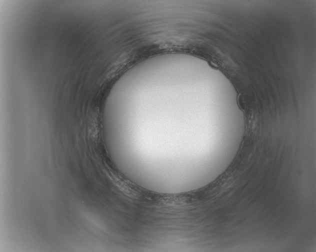 X0000054431012200508192118