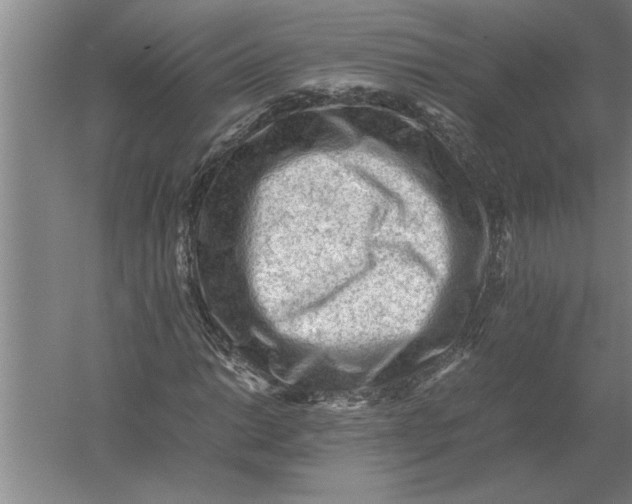 X0000054431014200508192118