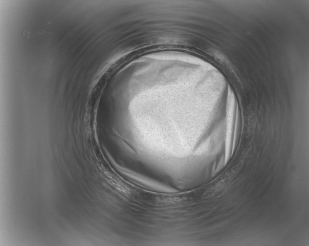 X0000054431019200508192118