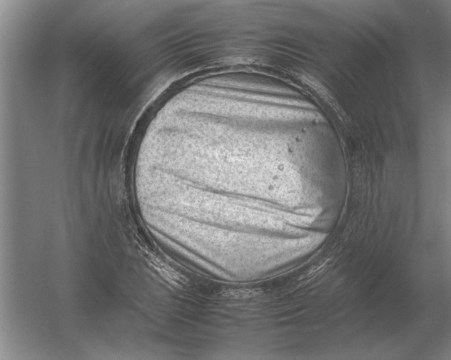 X0000054431023200508192118