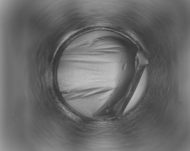 X0000054431024200508192118