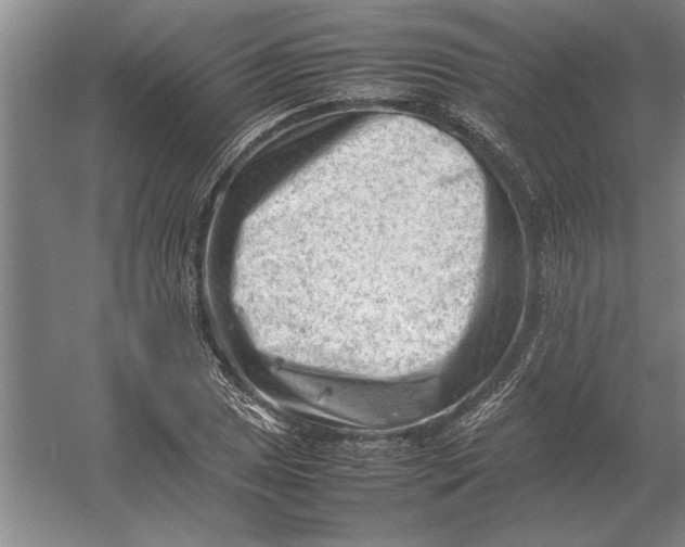 X0000054431025200508192118