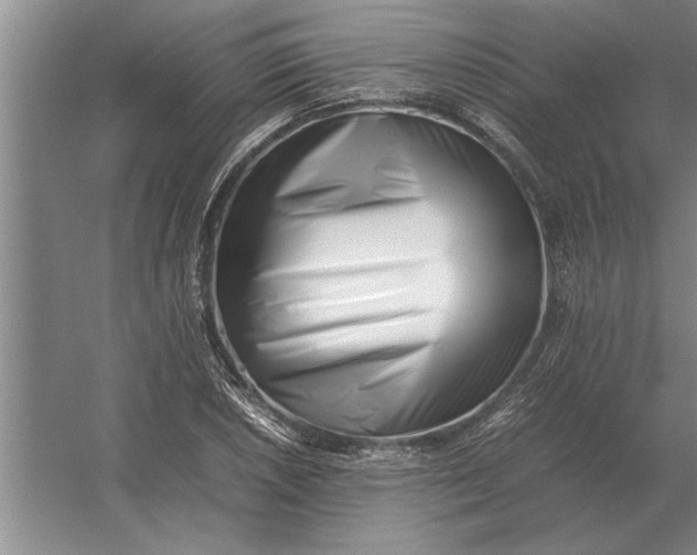 X0000054431026200508192118