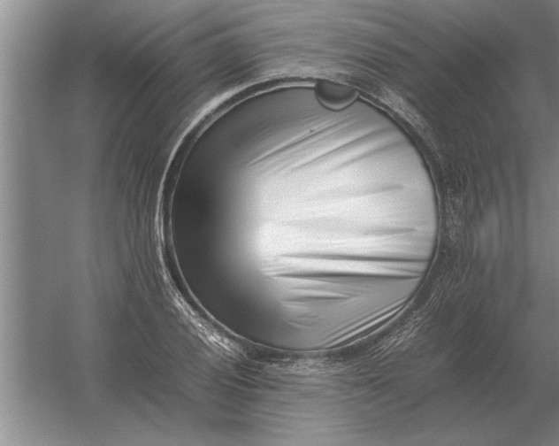 X0000054431028200508192118