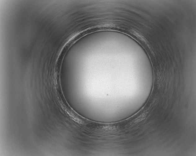 X0000054431029200508192118