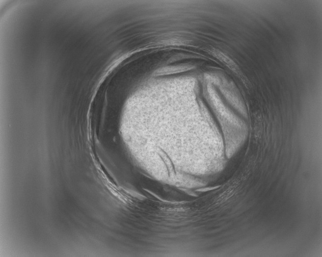 X0000054431031200508192118