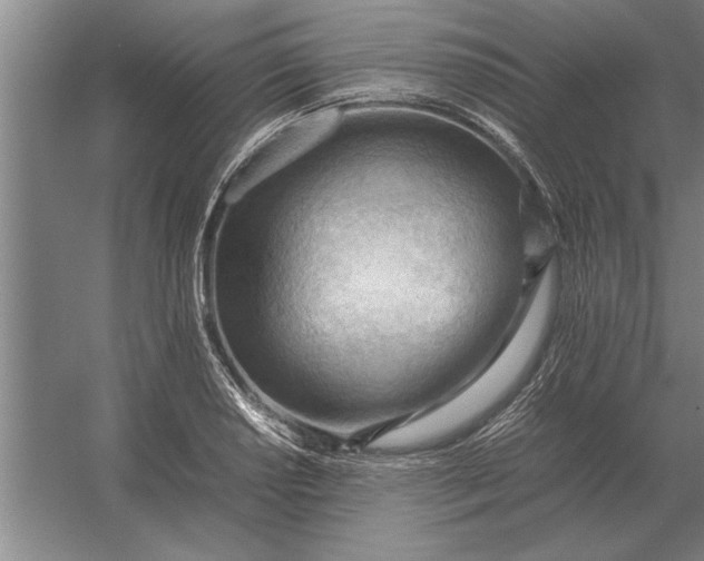 X0000054431034200508192118