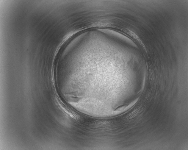 X0000054431035200508192118