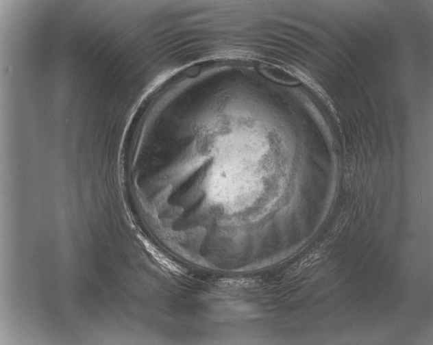 X0000054431037200508192118