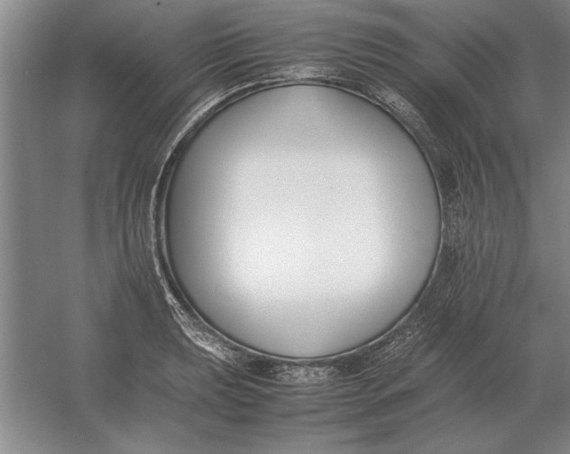 X0000054431039200508192118