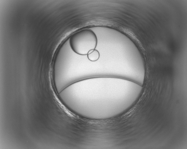 X0000054431040200508192118