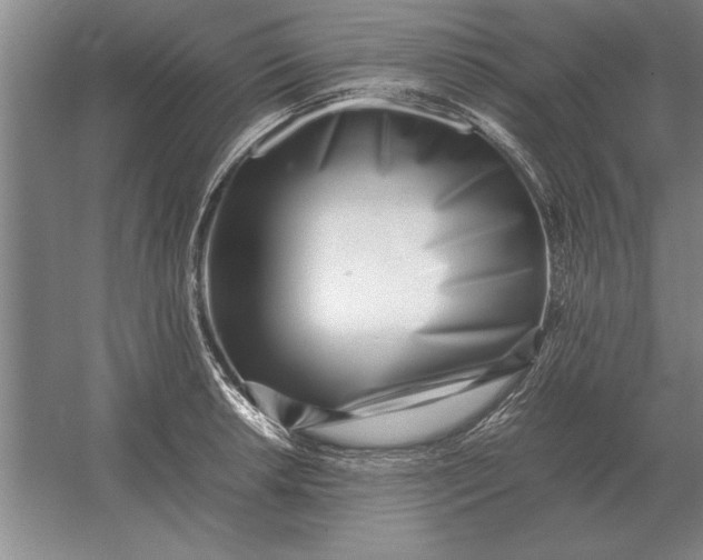 X0000054431042200508192118