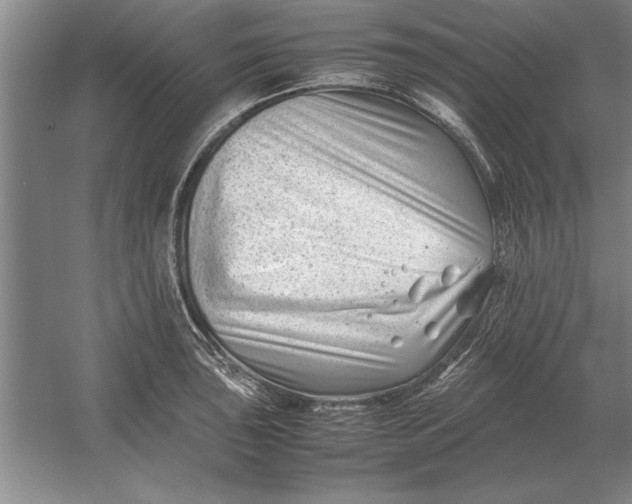 X0000054431043200508192118