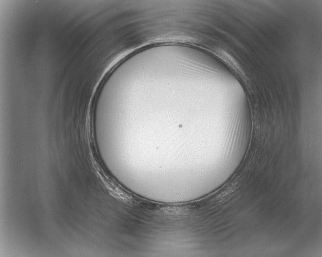 X0000054431044200508192118