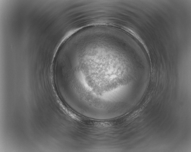 X0000054431045200508192118